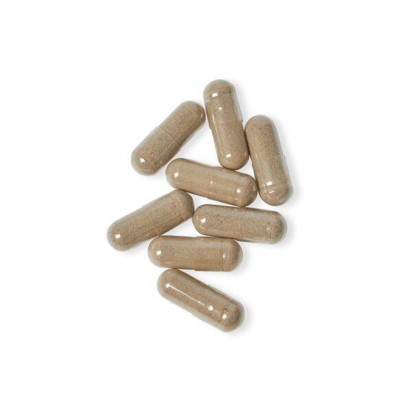 Sea Moss Supplement (60 Capsules) Heritage Vault - Image 5
