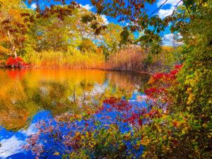 🍁 Fall Safety in Mt. Sinai: What Every Family Should Know