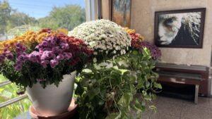 Built of Food, Rooted in Art: The Heritage Behind Heritage